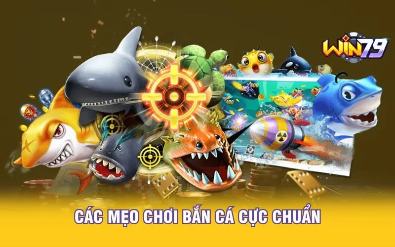 cac-meo-choi-ban-ca-cuc-chuan