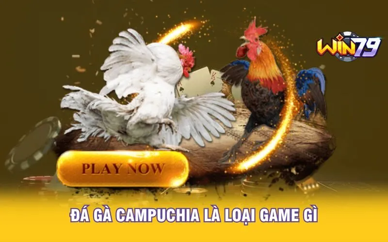 da-ga-campuchia-la-loai-game-gi