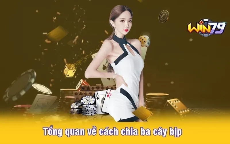 tong-quan-ve-cach-chia-ba-cay-bip